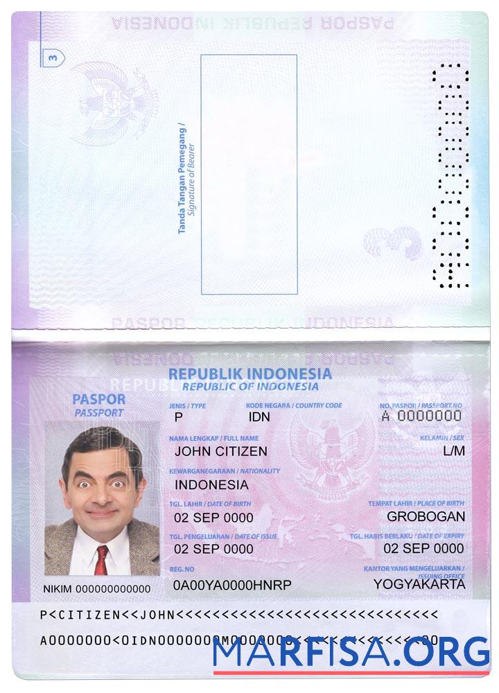 Realistic Indonesia pass 2022 present sample